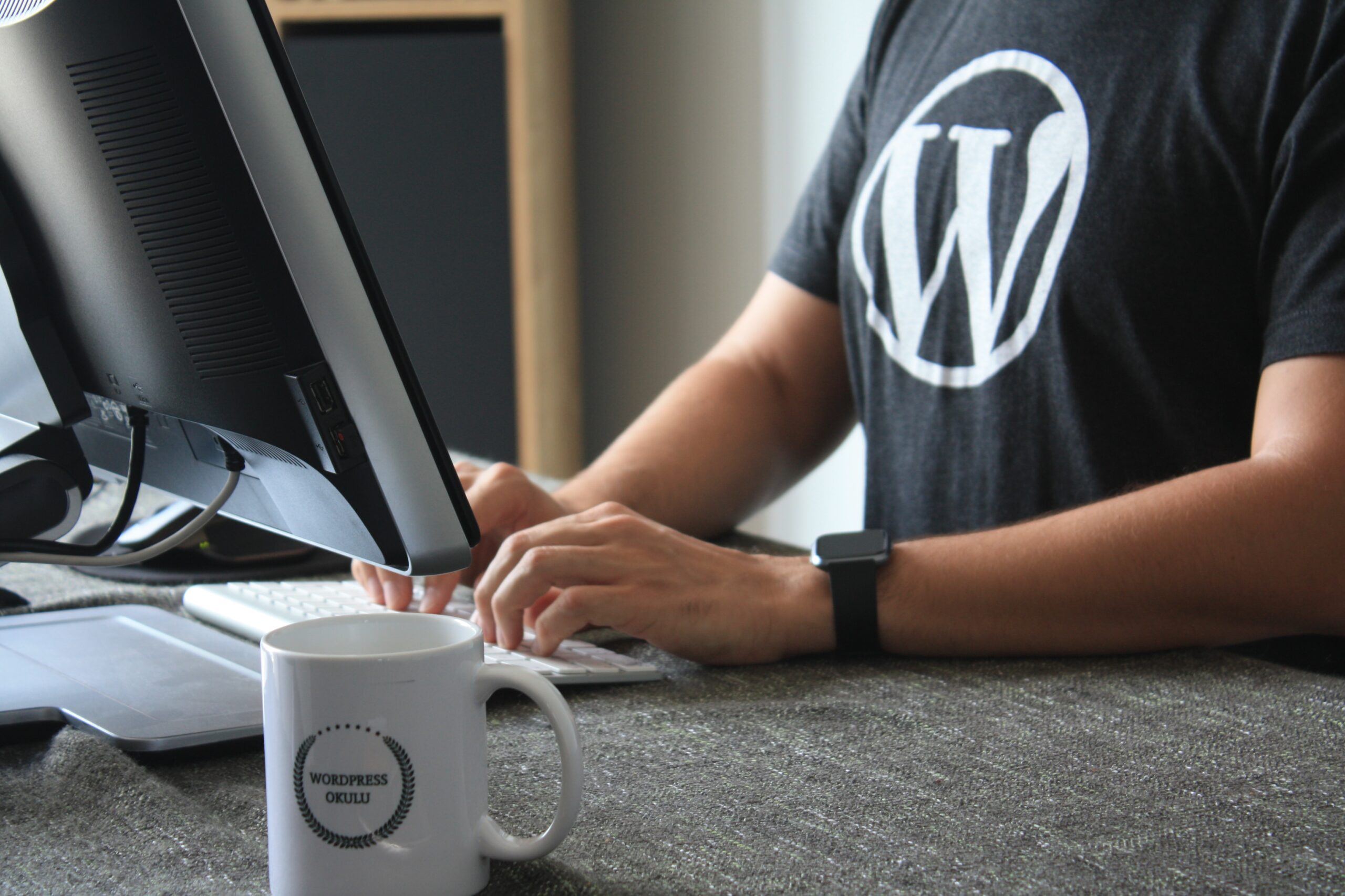 WordPress WP DIGITAL WEB